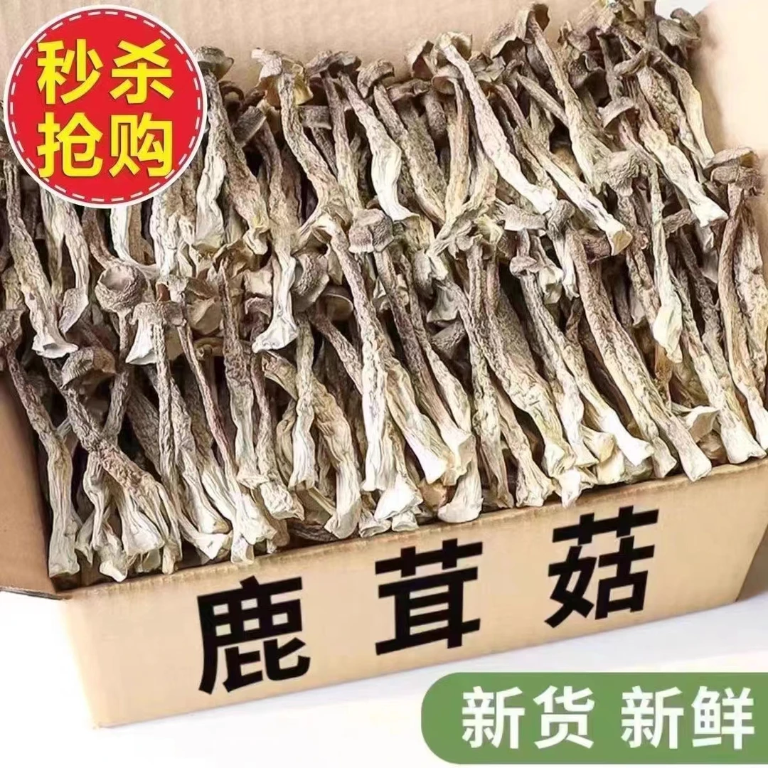 鹿茸菇批发食用美味挑选精选干货包邮脆脆菇鹿茸菌新鲜干货菌香菇