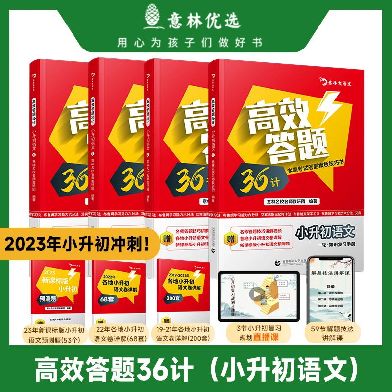 小升初、中考 意林高效答题36计语文知识复习技法讲解专项训练手
