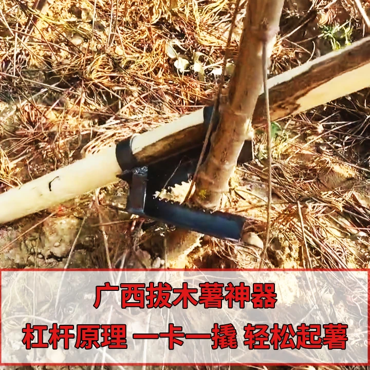 广西拔木薯神器加厚版钢夹带钉孔拔木薯专用工具拔树苗锯齿夹农用