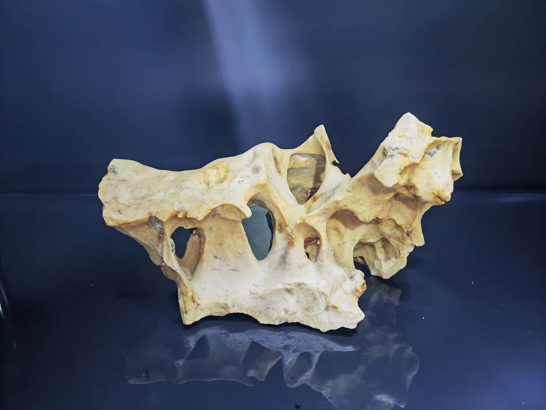 阿拉善奇石手把件摆件盆景付石