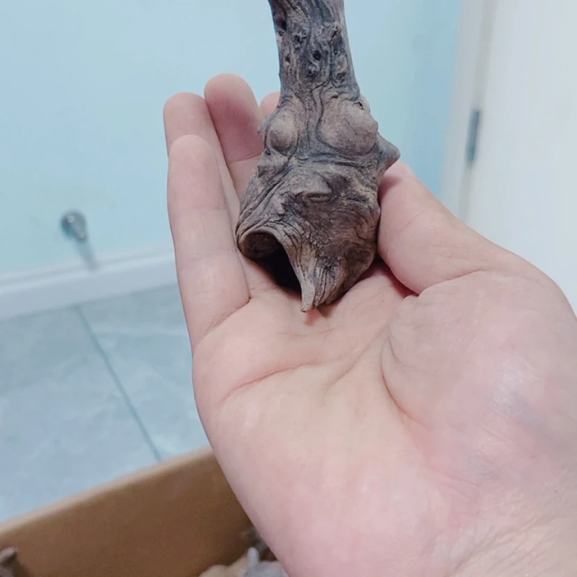 【闪购商品】柏木（崖柏）鹿***海太行