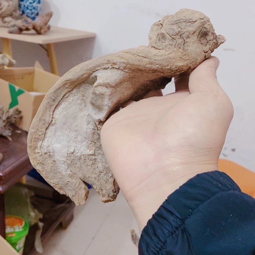 【闪购商品】柏木北*太行天下第一