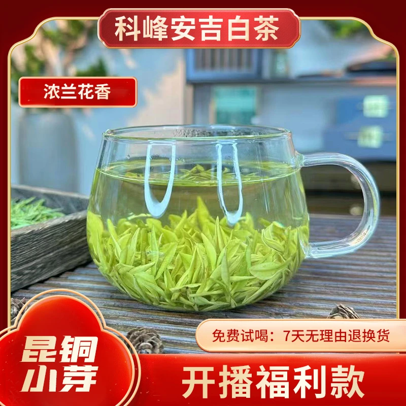 新人福利 （昆铜小芽）安吉白茶 兰花香安吉原产地溪龙发货