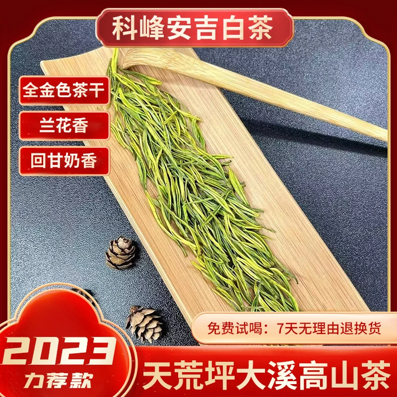 科峰（天荒坪大溪高山茶）正宗原始高山明前茶 高白化度鲜甜回甘茶