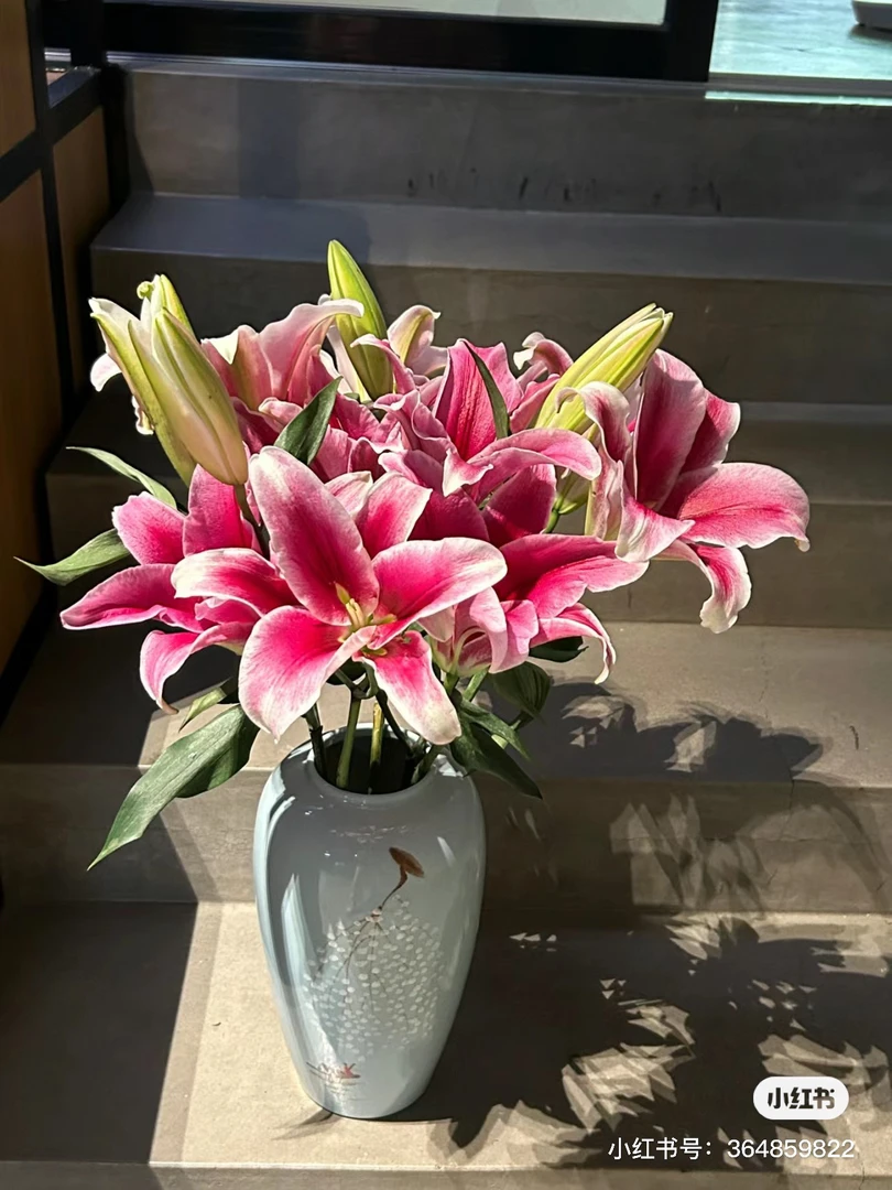 【胖虎花卉 帕拉佐红百合 任意两单花材升级顺丰冷链或德邦快递