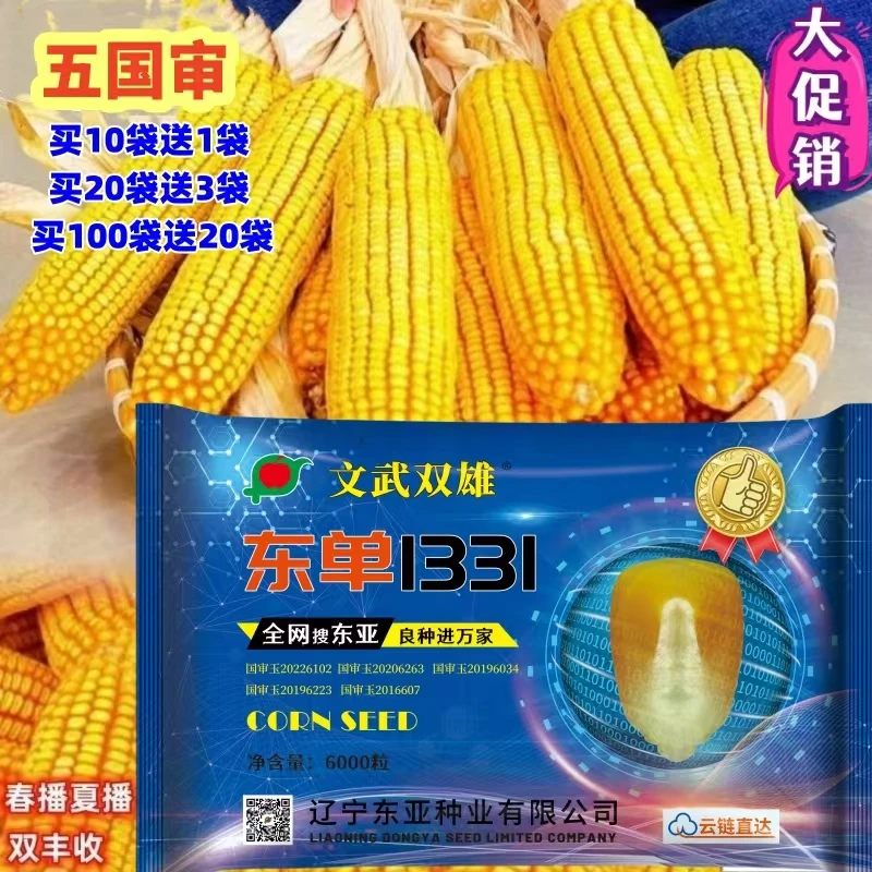 升级版文武双雄东亚东单1331玉米种子抗倒伏活杆成熟优质稳产密植