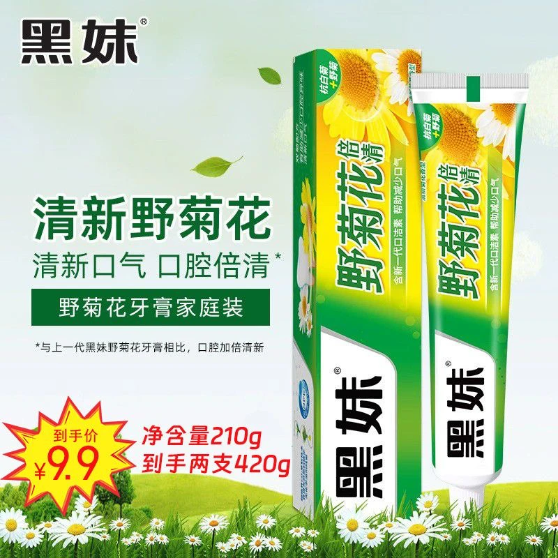 黑妹野菊花倍清牙膏420g家庭装两大支装花香清新野菊花