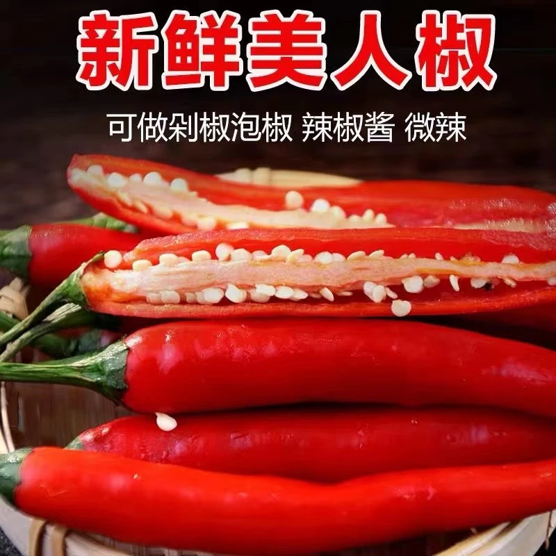 现摘现发新鲜美人椒剁椒泡椒红辣椒微辣非小米椒采摘精品香甜美味