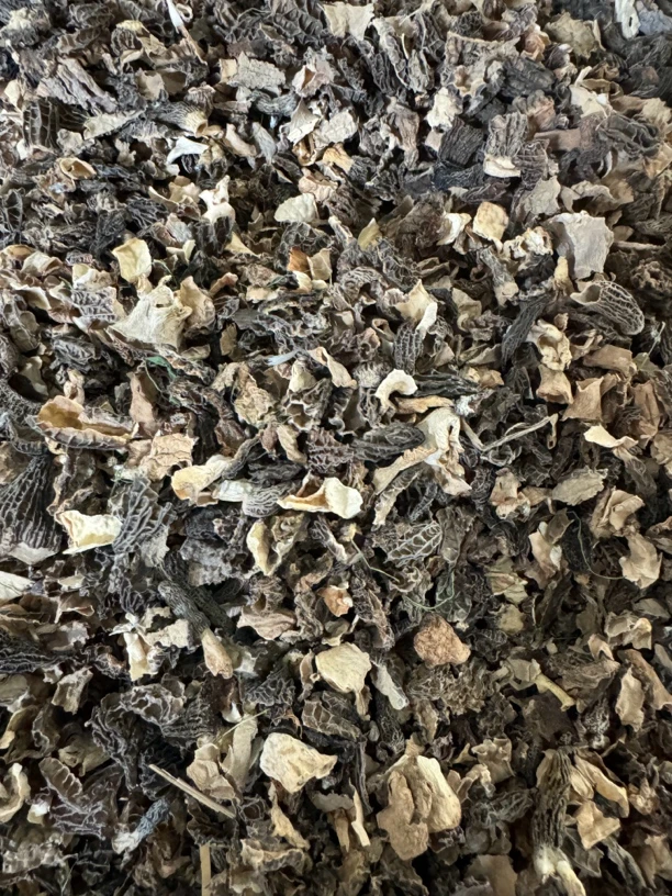 羊肚菌小碎碎福利品半斤！介意勿拍！