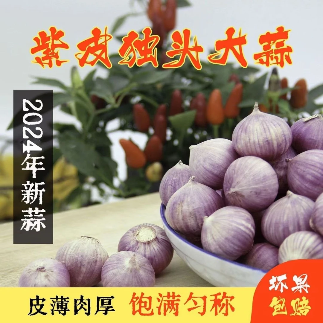 【每日精选】现挖现发新蒜优质优质独头蒜农家蒜优质独蒜包