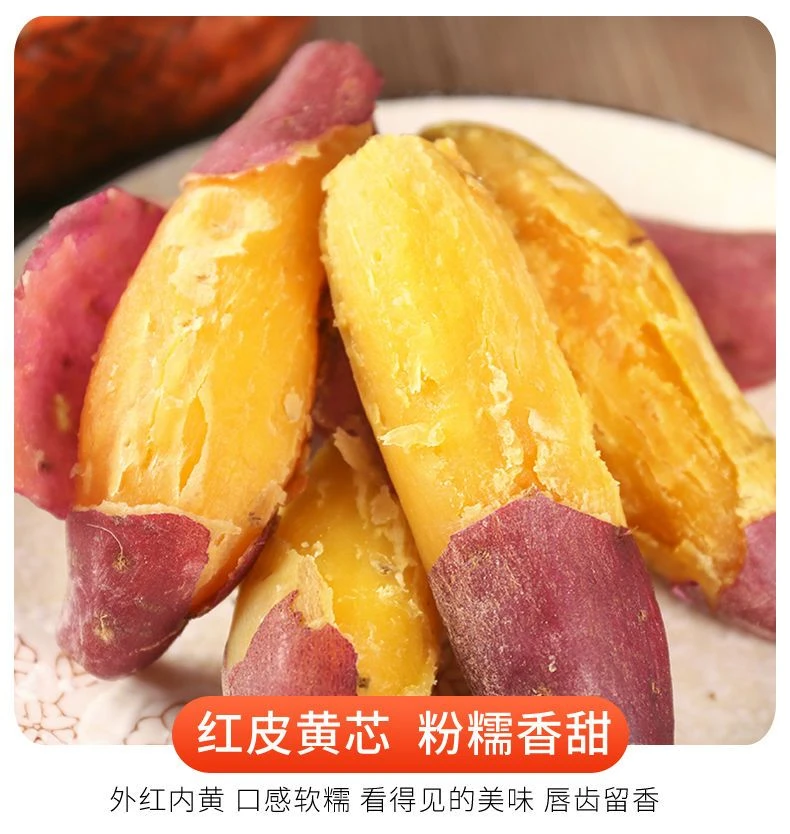 新鲜现挖红薯软糯香甜
