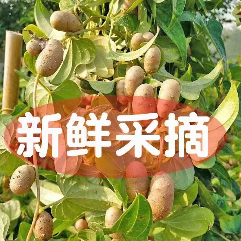 （山药豆）焦作温县特产正宗垆土地铁棍山药豆3斤营养