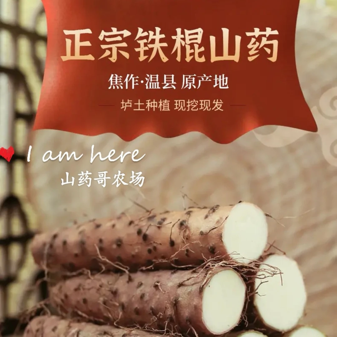 河南温县特产垆土地铁棍山药净重五斤新鲜采挖原产地直达