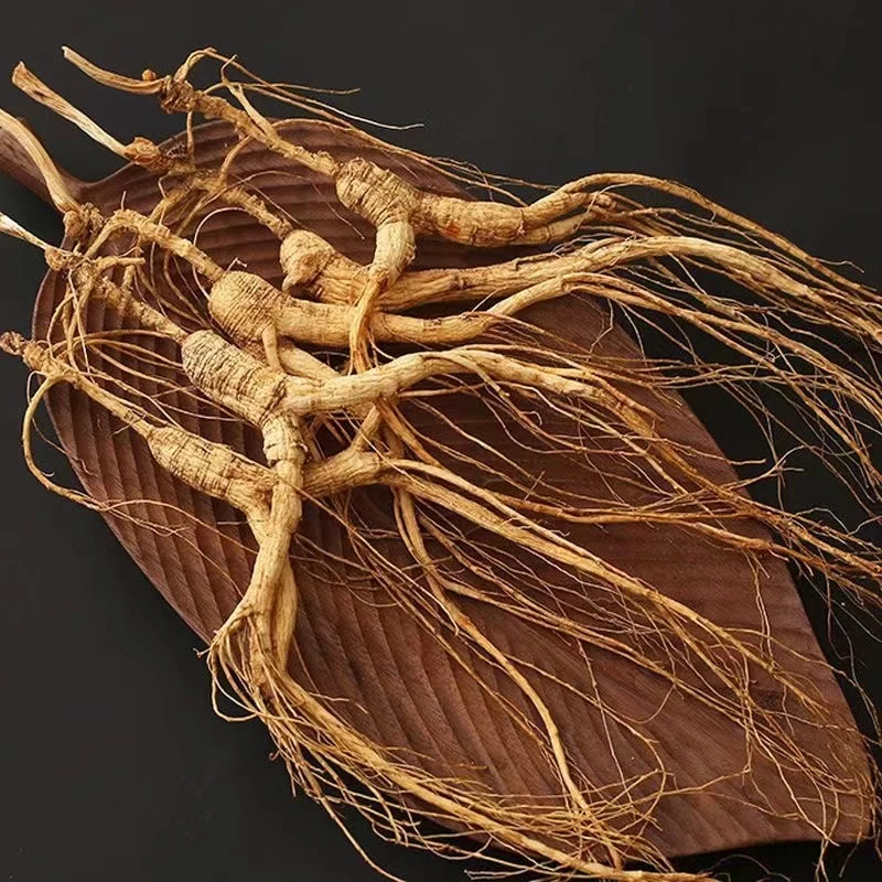 【非野山参】精选高龄林下山参移山参干参长白山人参泡酒煲汤滋补