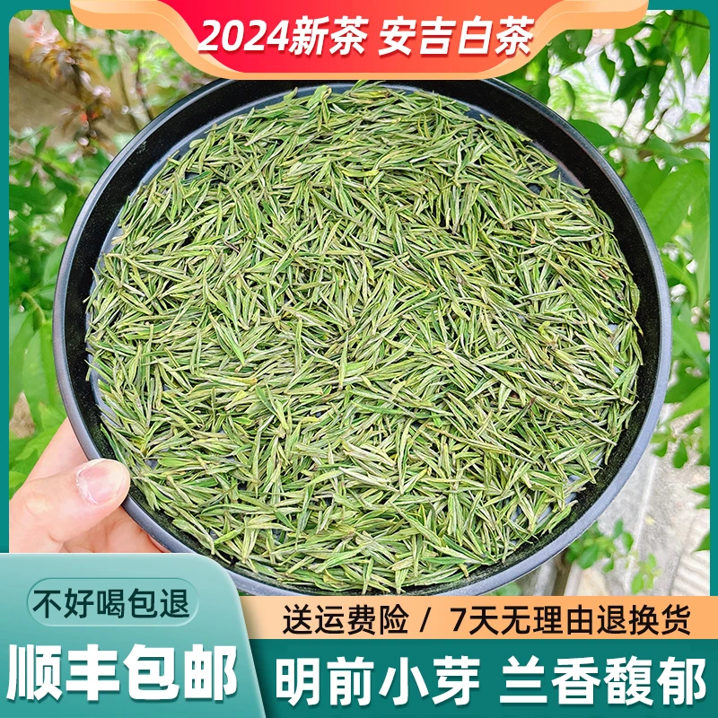 茗抱春2024新茶A6安吉白茶绿茶昆铜明前早期小芽春茶鲜爽回甘新鲜
