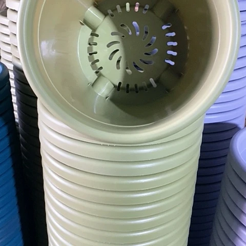 树脂300CM及以上四季4号无拖果绿5个