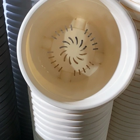 树脂300CM及以上四季5号无拖米黄5个