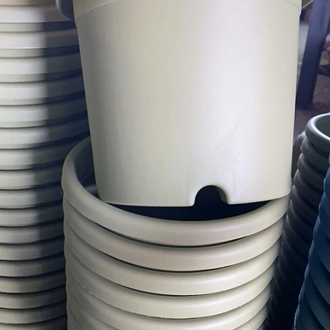 树脂四季3#无拖果绿10个