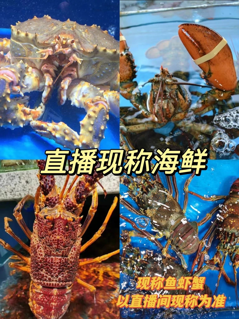 直播现称海鲜 龙虾大虾类海鲜链接【包新鲜不包活】