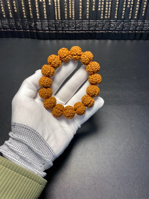 新品金刚菩提1号