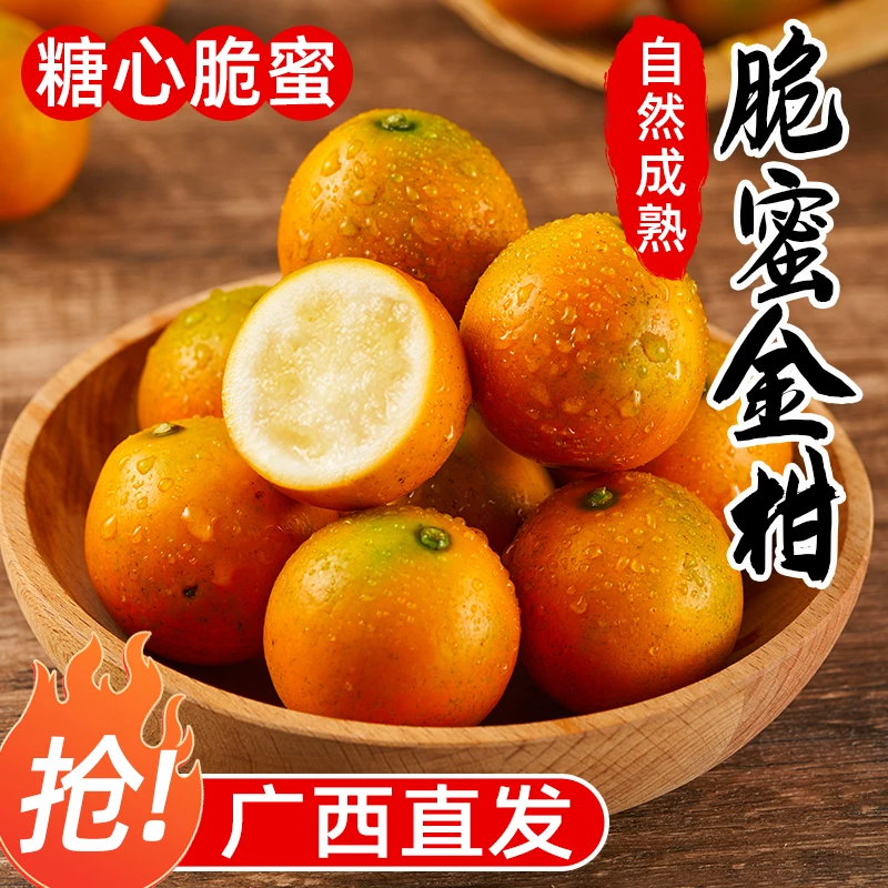 爆甜【脆蜜金柑】第三代融安脆蜜金桔鲜果当季水果新鲜现摘纯甜ZZ