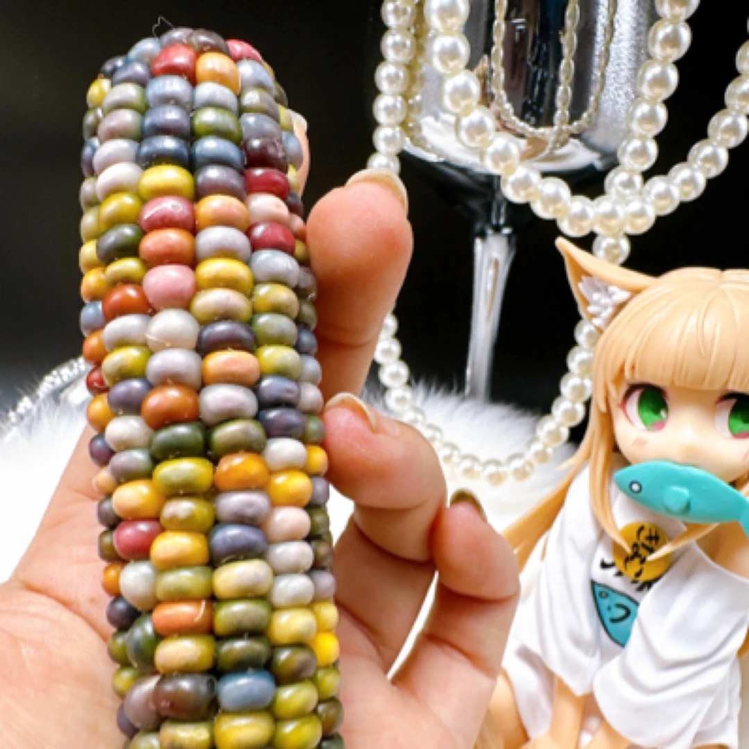 非直播勿拍 七彩玉米 毛料