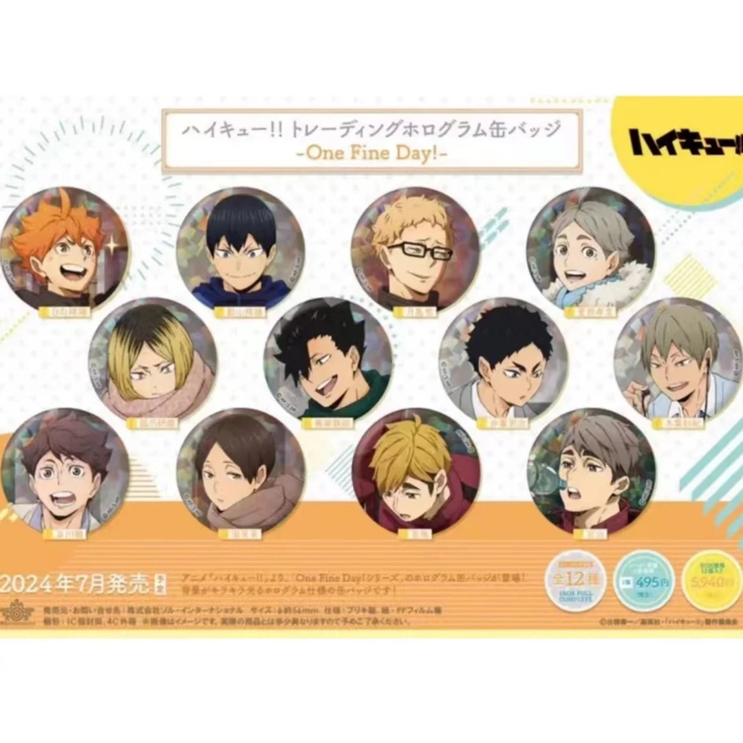 【排球少年】新秋冬闪吧唧徽章 日谷正版