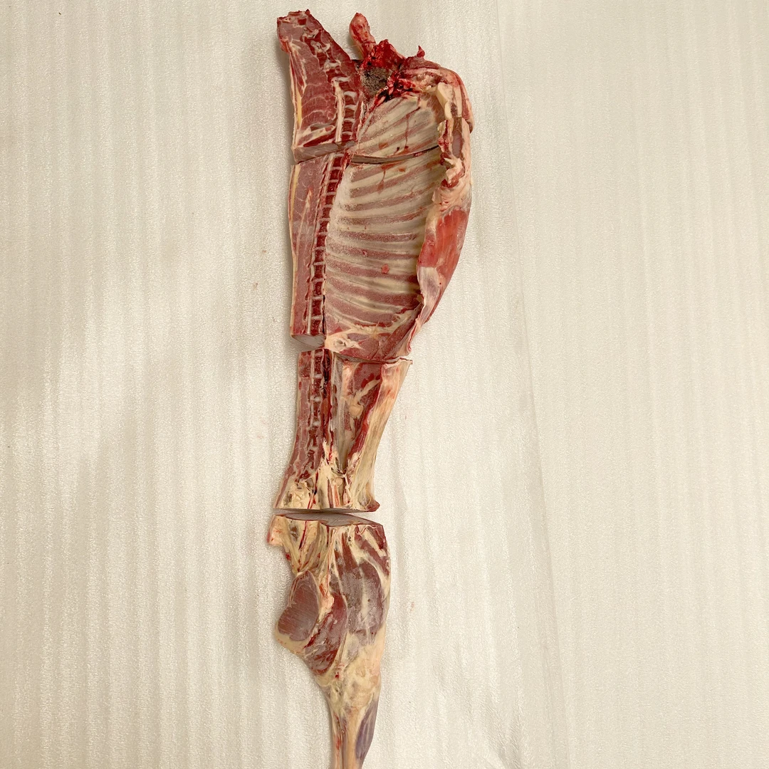 清真新西兰半羊20斤 切块 99%腿排