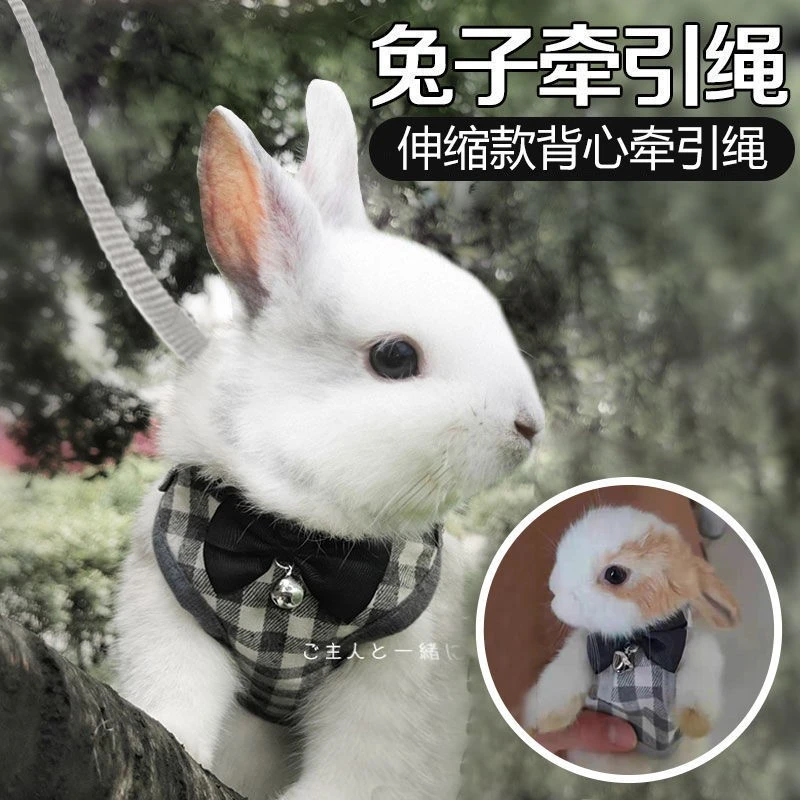 兔子牵引绳溜兔防挣脱背心绳子链子宠物项圈侏儒兔专用外出绳用品