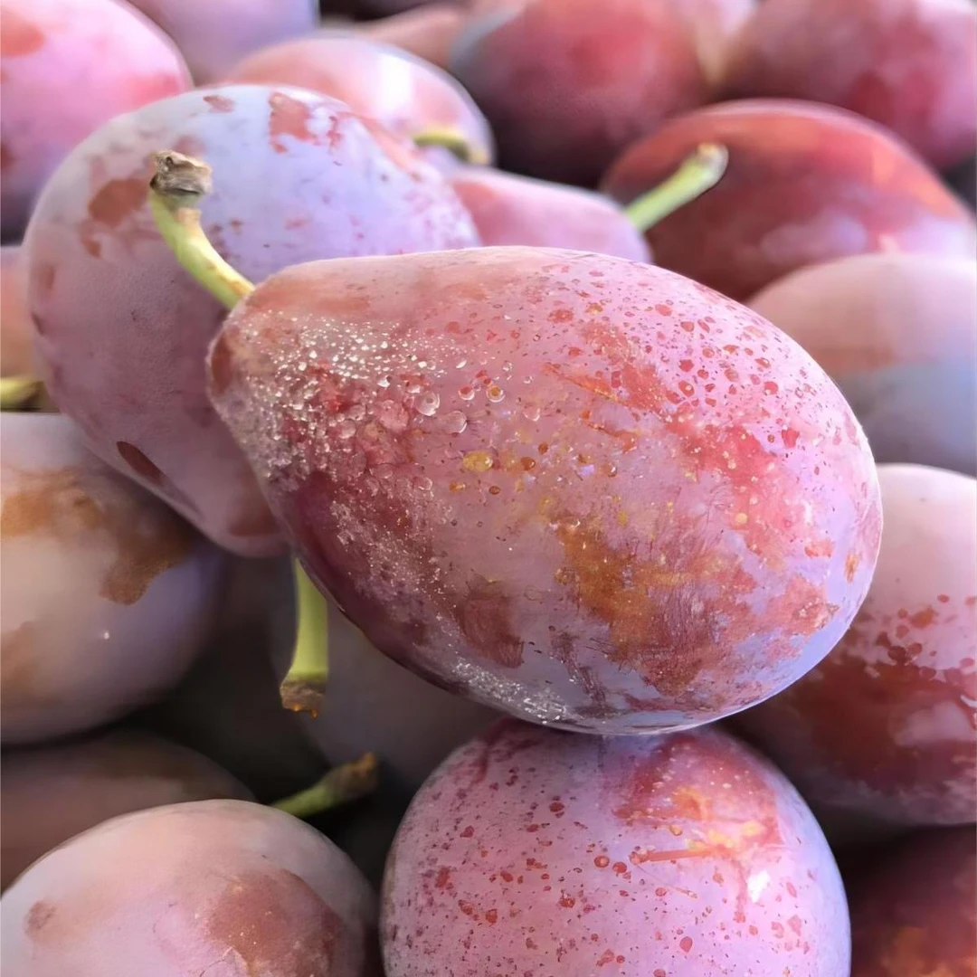 【好吃的西梅】西梅中果（净果3斤）甜度高