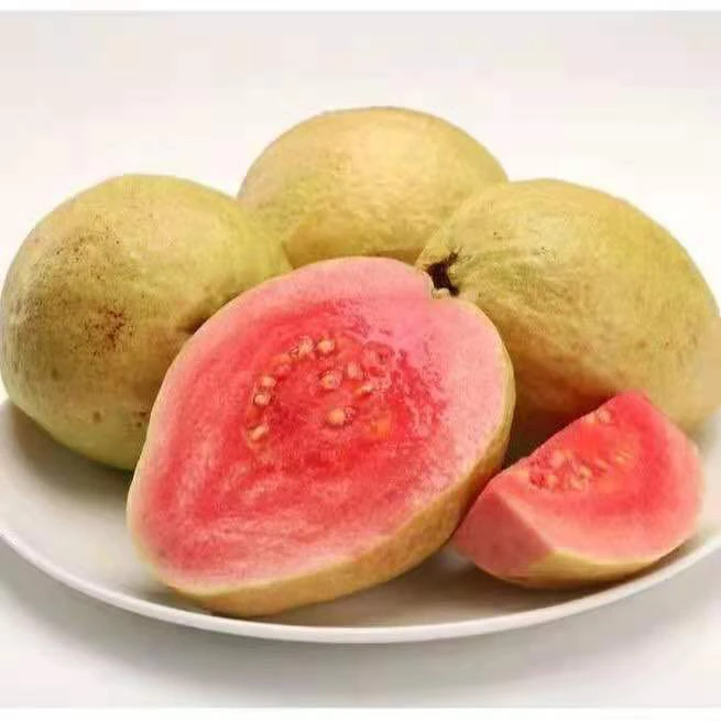 【树熟红心芭乐】芭乐（箱/带箱2.5-3斤）整箱5-7颗装，仅全宁夏可拍