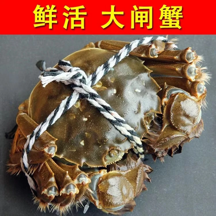 特卖活动 2.5两 全母 买10送2 （收到共12只） 大闸蟹（1两=50克）