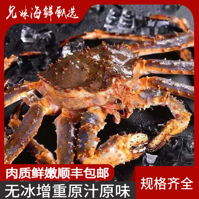 【蓝帝王蟹】8斤规格 兄妹海鲜挪威鲜冻帝王蟹冷冻发货