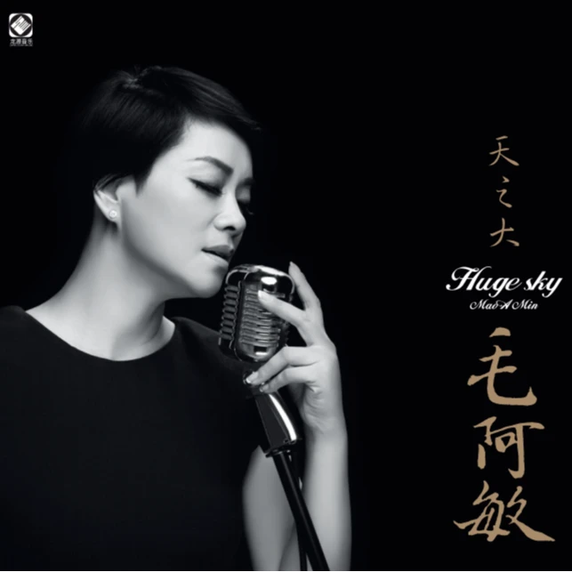 龙源音乐 《天之大》毛阿敏 CD发烧碟