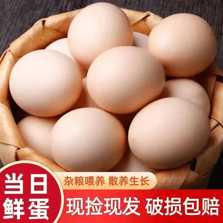 10枚农家现捡新鲜土鸡蛋乡村笨鸡蛋柴鸡蛋初生蛋批发整箱包邮