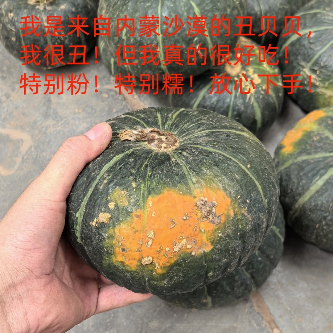 【坏果包赔】内蒙沙漠丑贝贝南瓜宝宝辅食粉糯香甜带箱约4.5-5斤