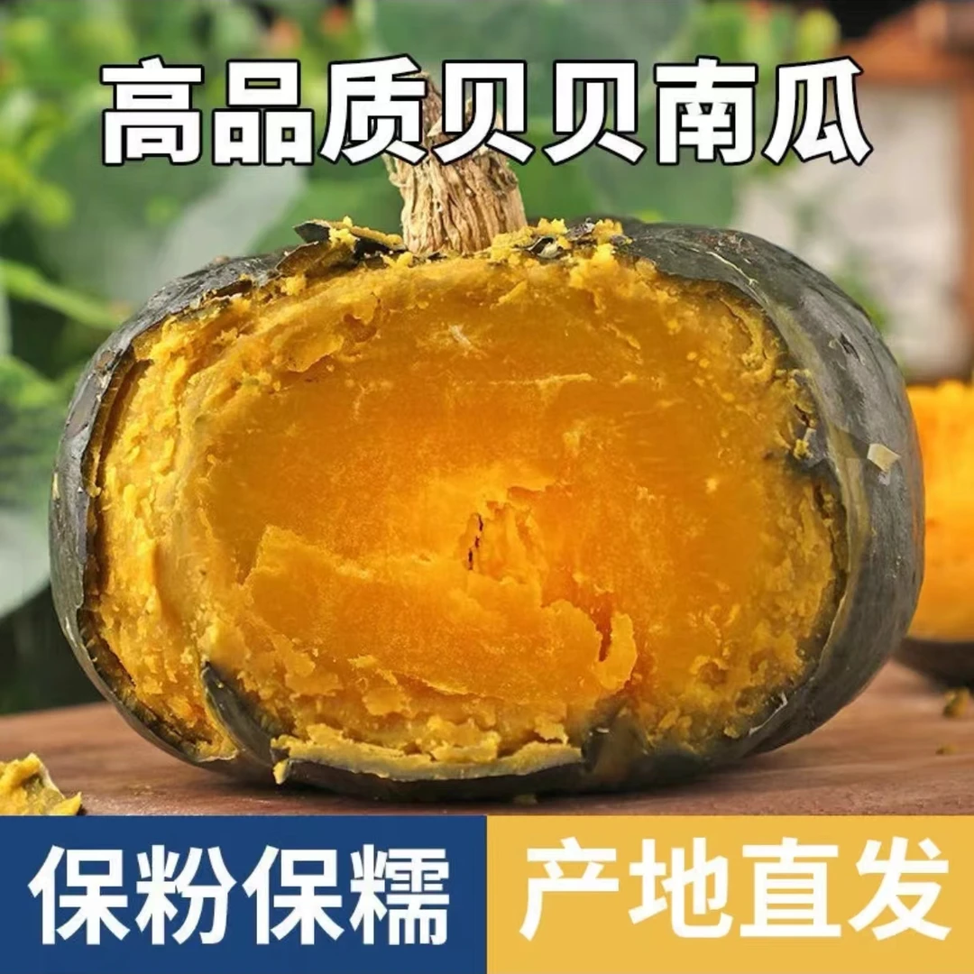 【坏果包赔】内蒙沙漠贝贝南瓜宝宝辅食粉糯香甜160天老瓜