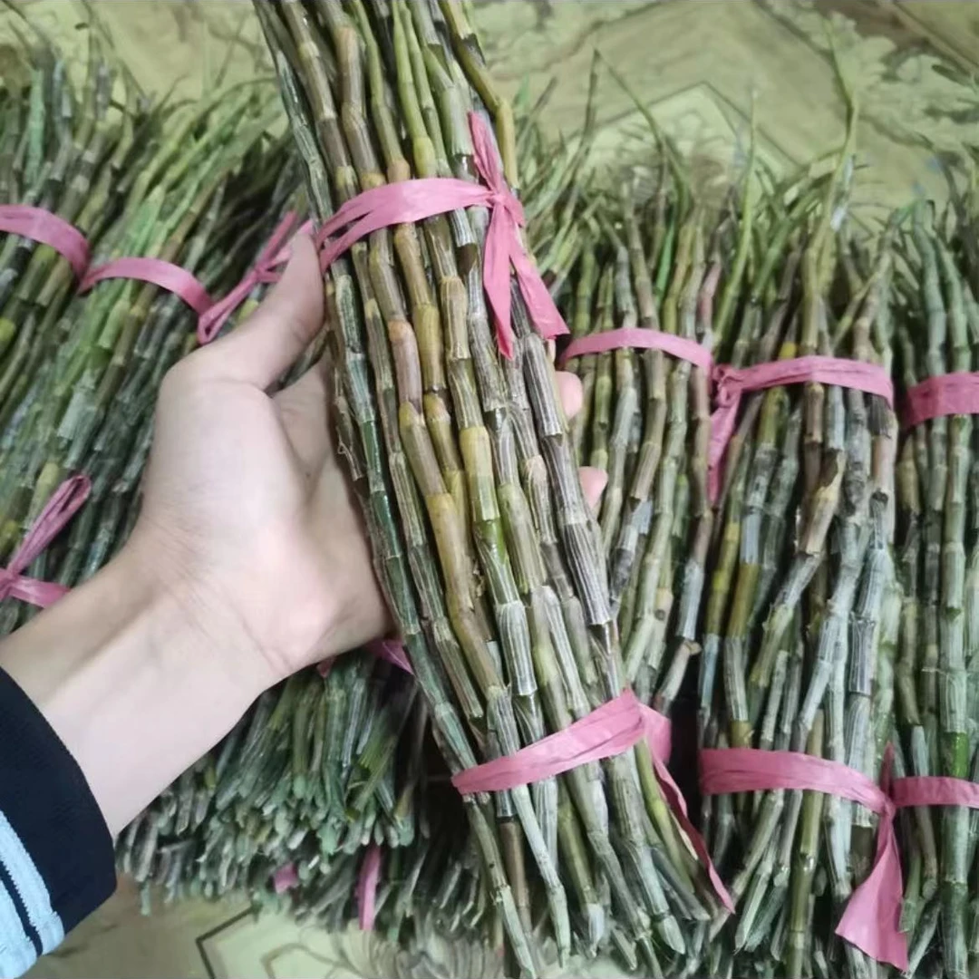 云南正宗高山紫皮石斛鲜条500克