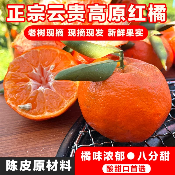 【山货郎】古红橘陈皮原料川红橘南橘土橘子水果精品大红袍柑2斤5斤