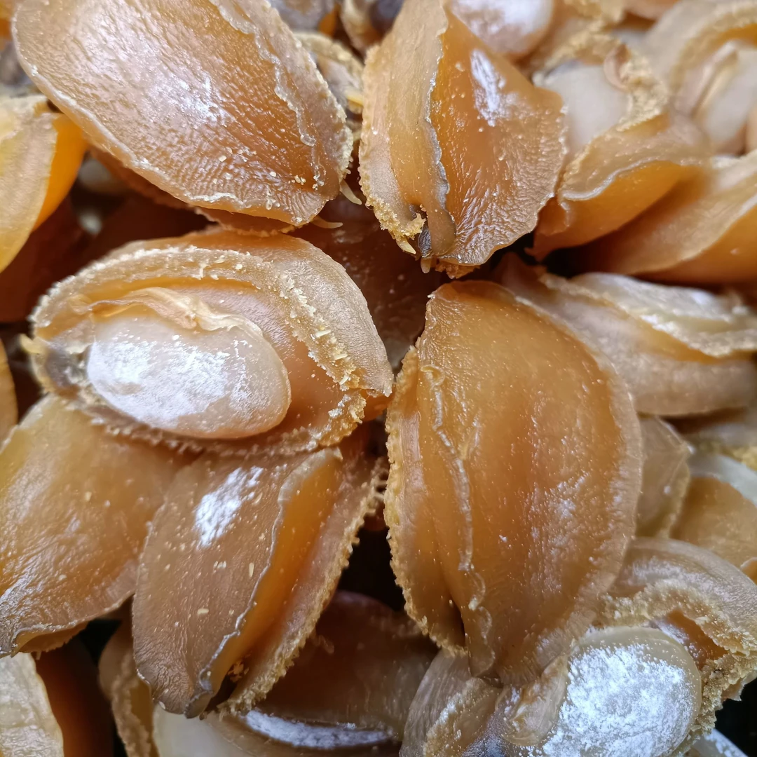 大连-干鲍鱼 【东君滋补】