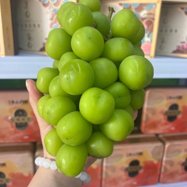 【才爽】云南建水阳光玫瑰精品果 2串装