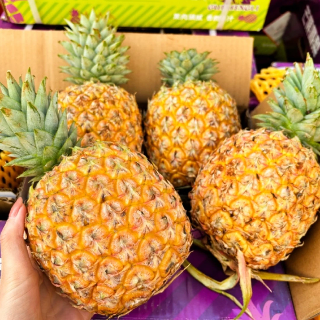 【芒果凤梨】海南芒果凤梨 脆甜多汁