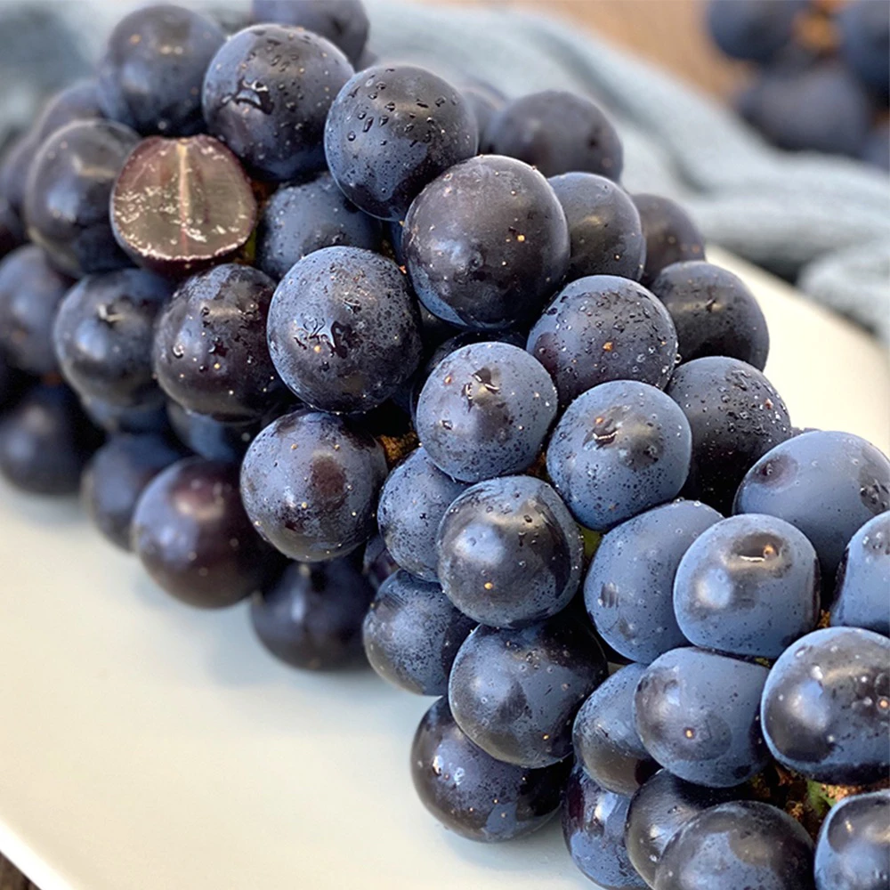 云南蓝莓葡萄 黑玫瑰 无籽酸甜多汁