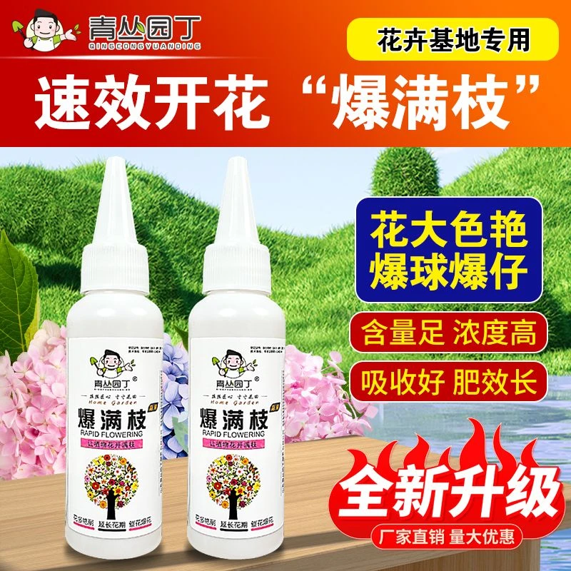 青丛园丁爆满枝60g营养液