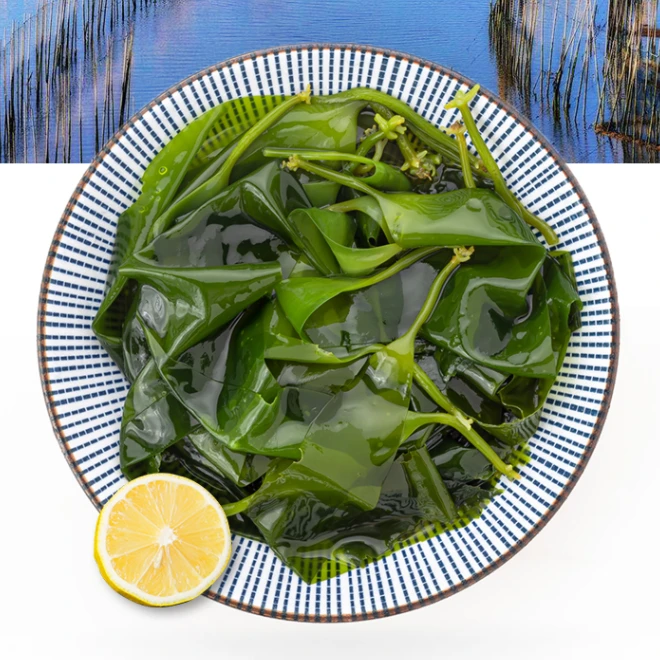【店铺爆款】福建漳州海带嫩苗盐渍海带苗500g/袋凉拌营养