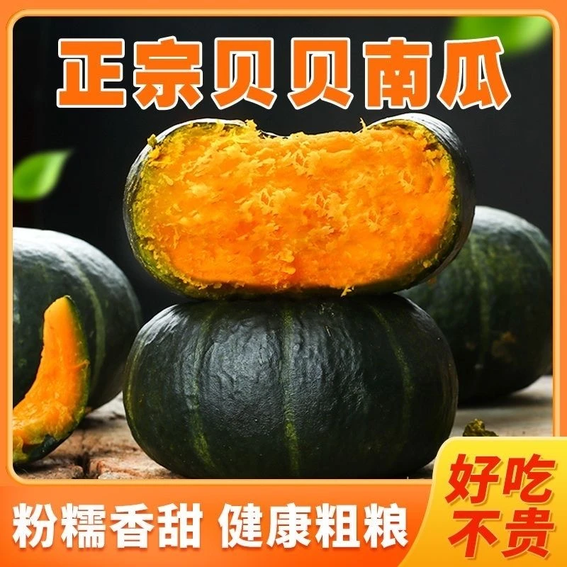 山东潍坊正宗贝贝南瓜中大果4.5不粉包赔4-7个