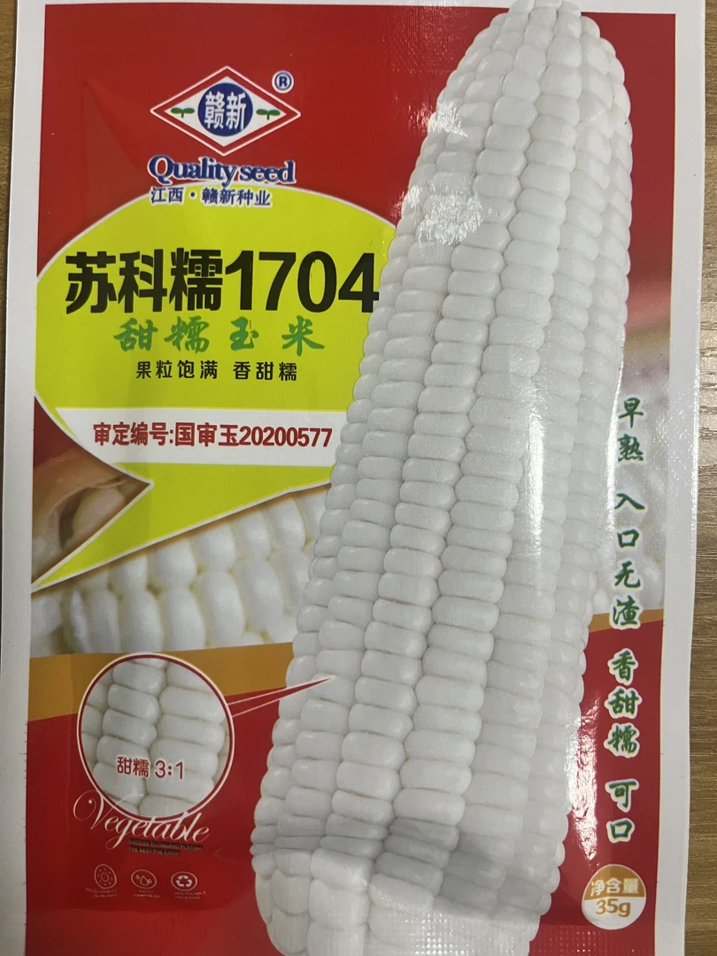 9.9元饱满白甜糯玉米种子带回家