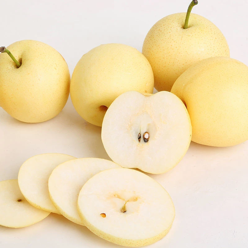 【拉萨顺丰包邮】河北皇冠梨肉白细嫩脆甜多汁新鲜水果梨【产地直发】