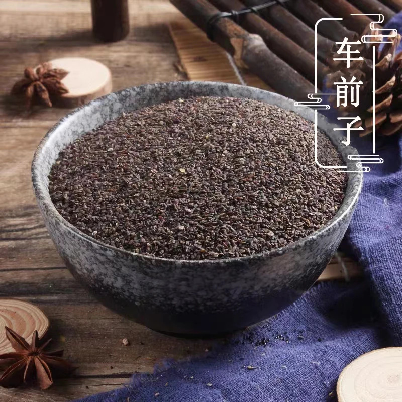 车前子 精选车前子正品车前子茶车前草籽干货颗粒饱满干净无杂