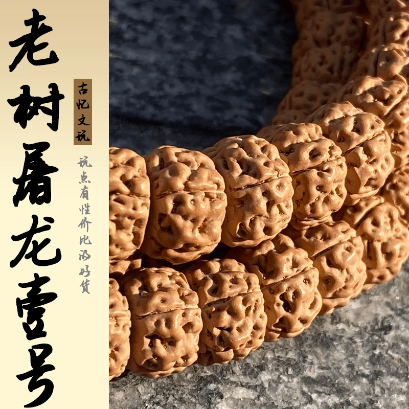 屠龙壹号 ▪龙切归圆老树高密盘龙纹藏式精工直切男文玩小金刚菩提